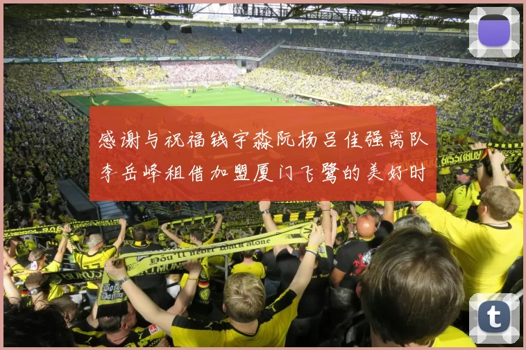 感谢与祝福钱宇淼阮杨吕佳强离队李岳峰租借加盟厦门飞鹭的美好时刻